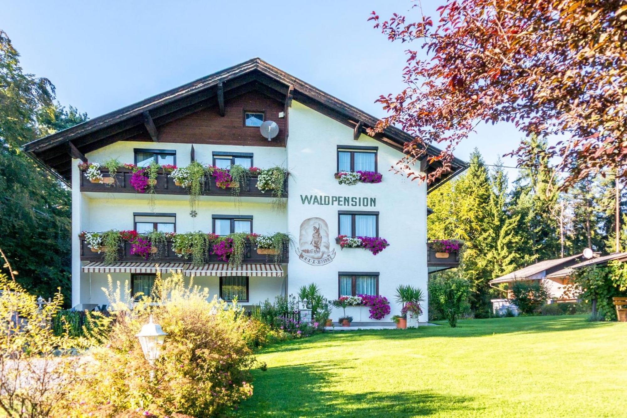Waldpension 쉬플링암씨 외부 사진