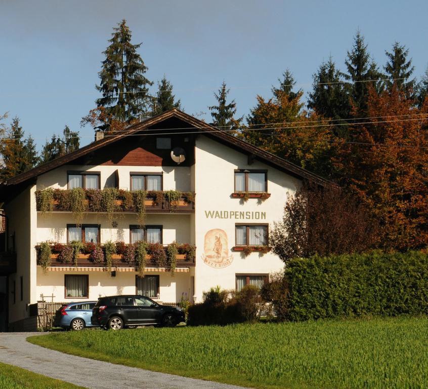 Waldpension 쉬플링암씨 외부 사진
