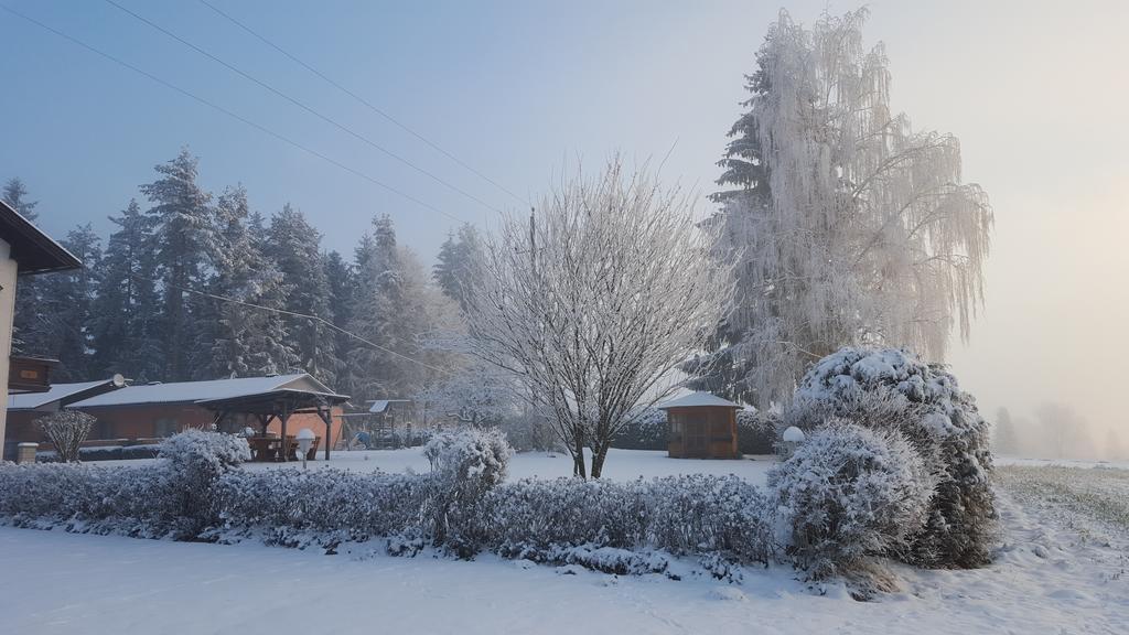 Waldpension 쉬플링암씨 외부 사진